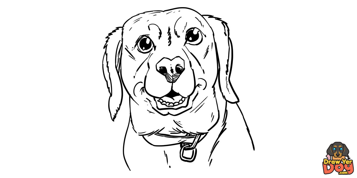 Example Digital Pet Sketch artwork