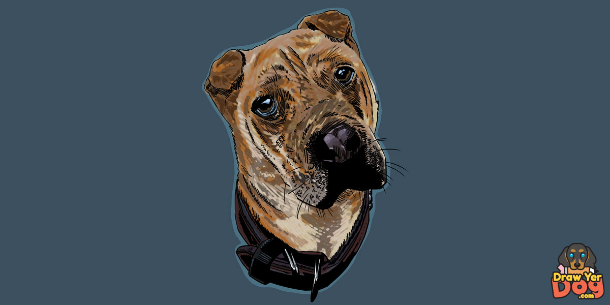 Example Digital Full Color Pet Portrait artwork
