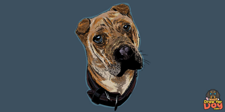 Digital Full Color Pet Portrait