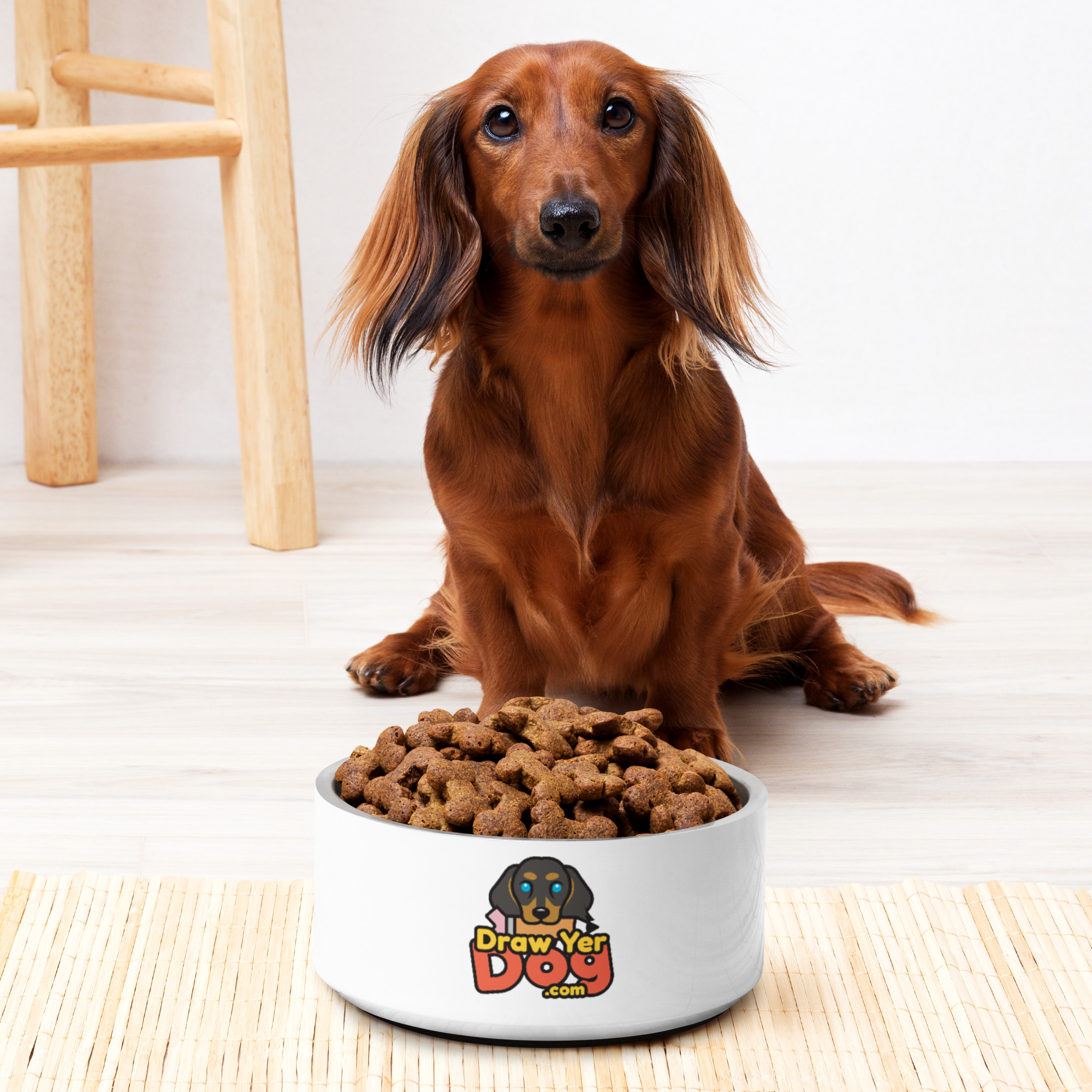 Draw Yer Dog Pet bowl